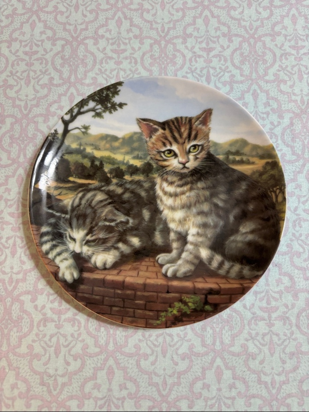 CATS COLLECTION Decorative Porcelain Plate “Terrace Cat”
